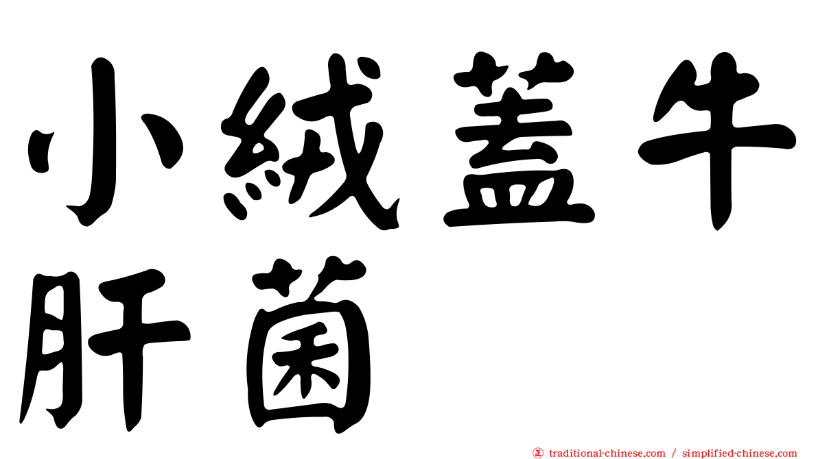小絨蓋牛肝菌