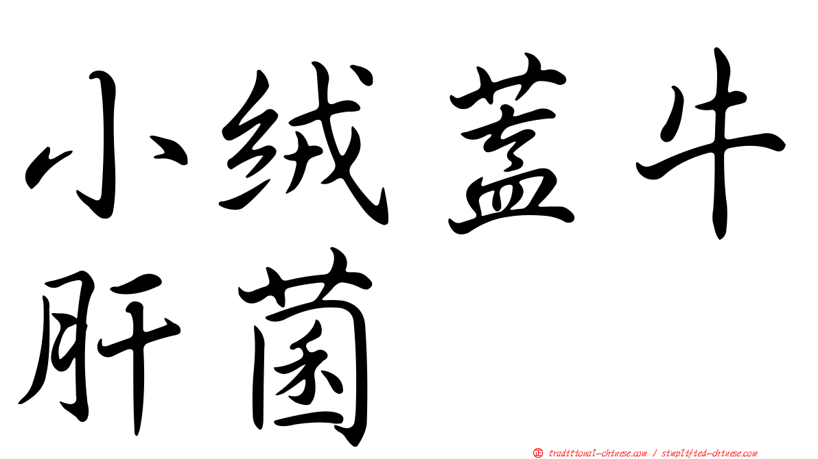 小絨蓋牛肝菌