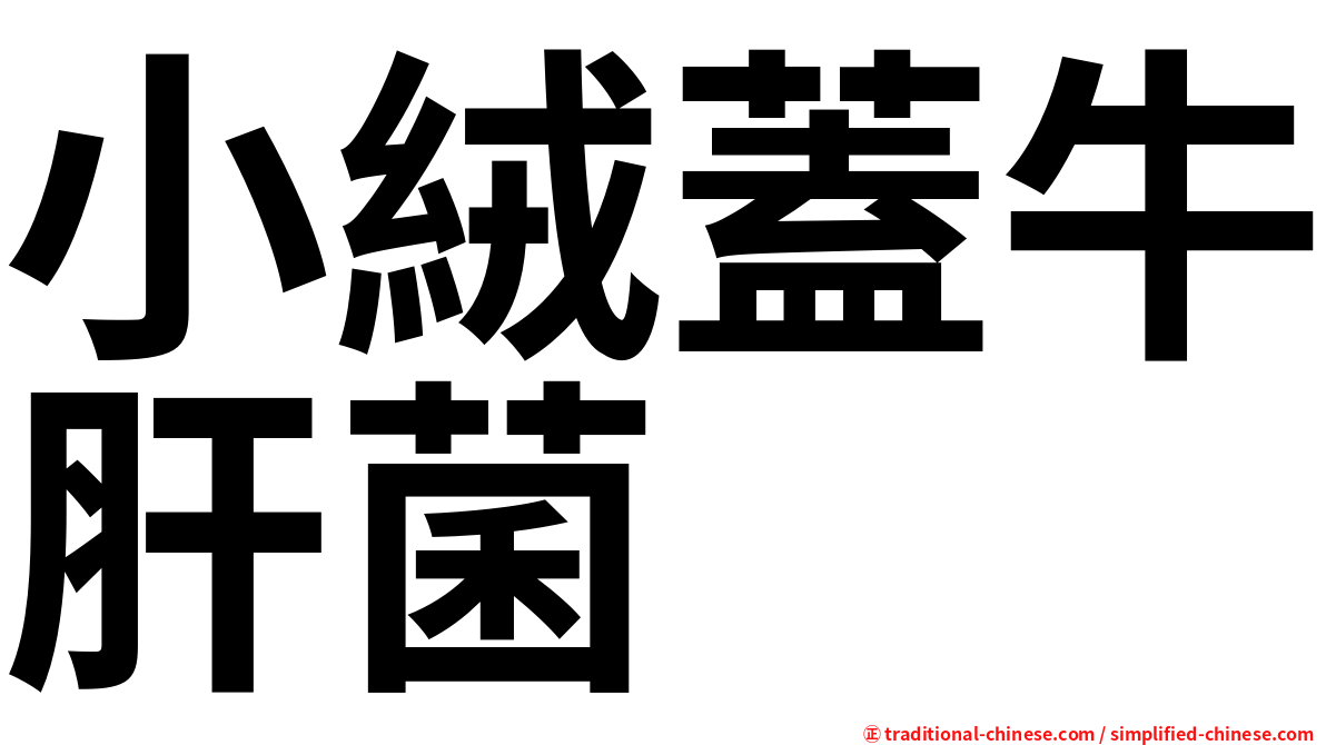 小絨蓋牛肝菌