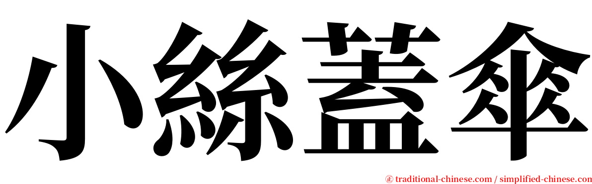 小絲蓋傘 serif font