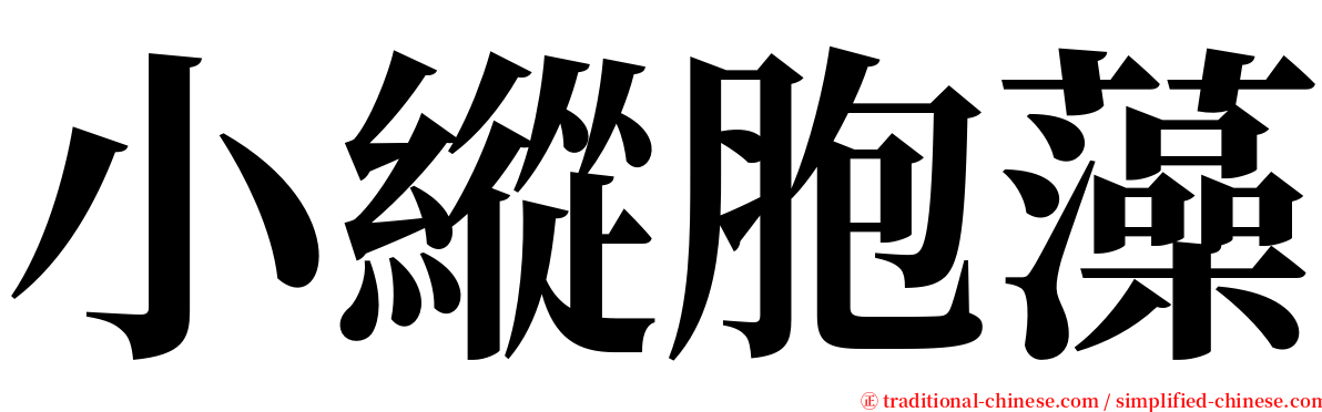 小縱胞藻 serif font