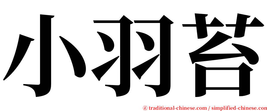 小羽苔 serif font