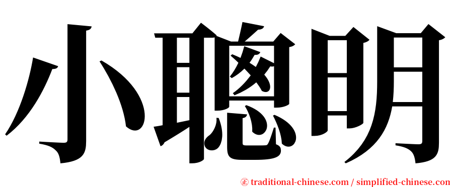 小聰明 serif font