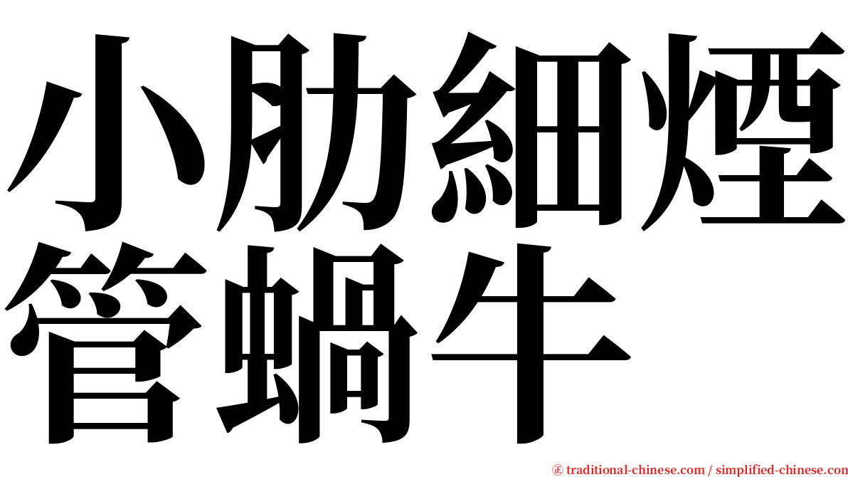 小肋細煙管蝸牛 serif font