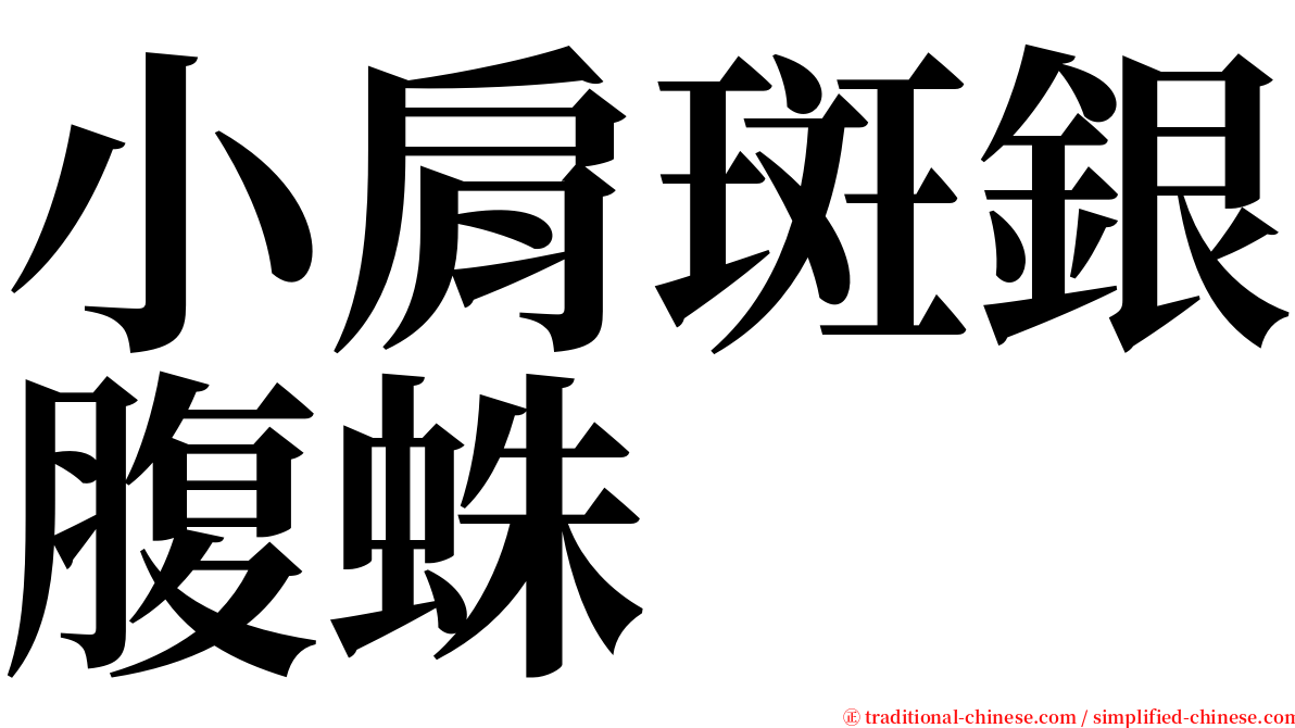 小肩斑銀腹蛛 serif font