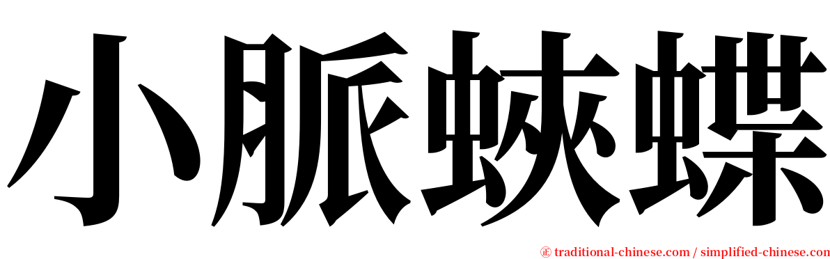 小脈蛺蝶 serif font