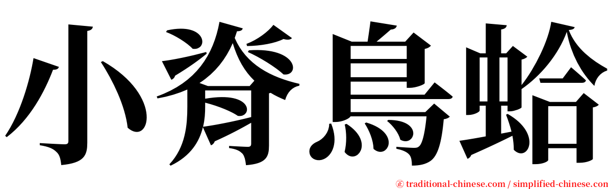 小脊鳥蛤 serif font