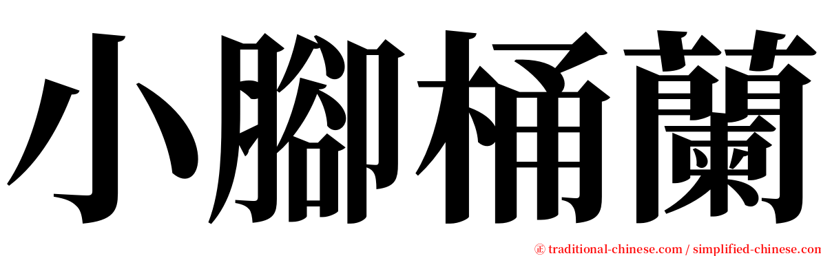 小腳桶蘭 serif font