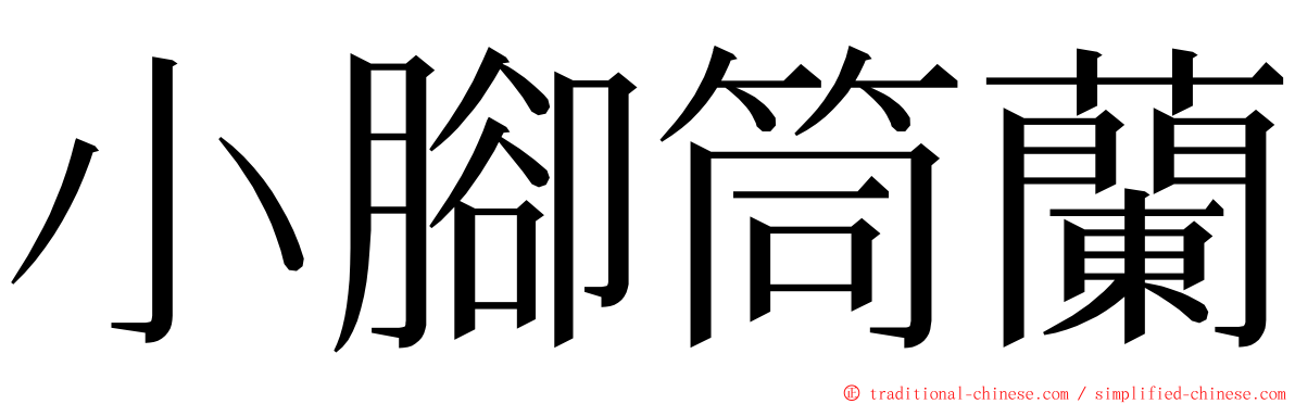 小腳筒蘭 ming font