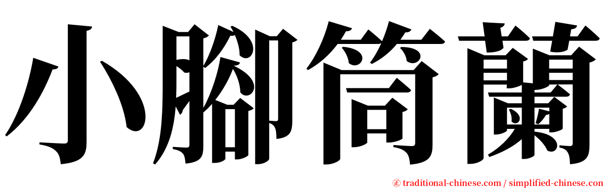 小腳筒蘭 serif font