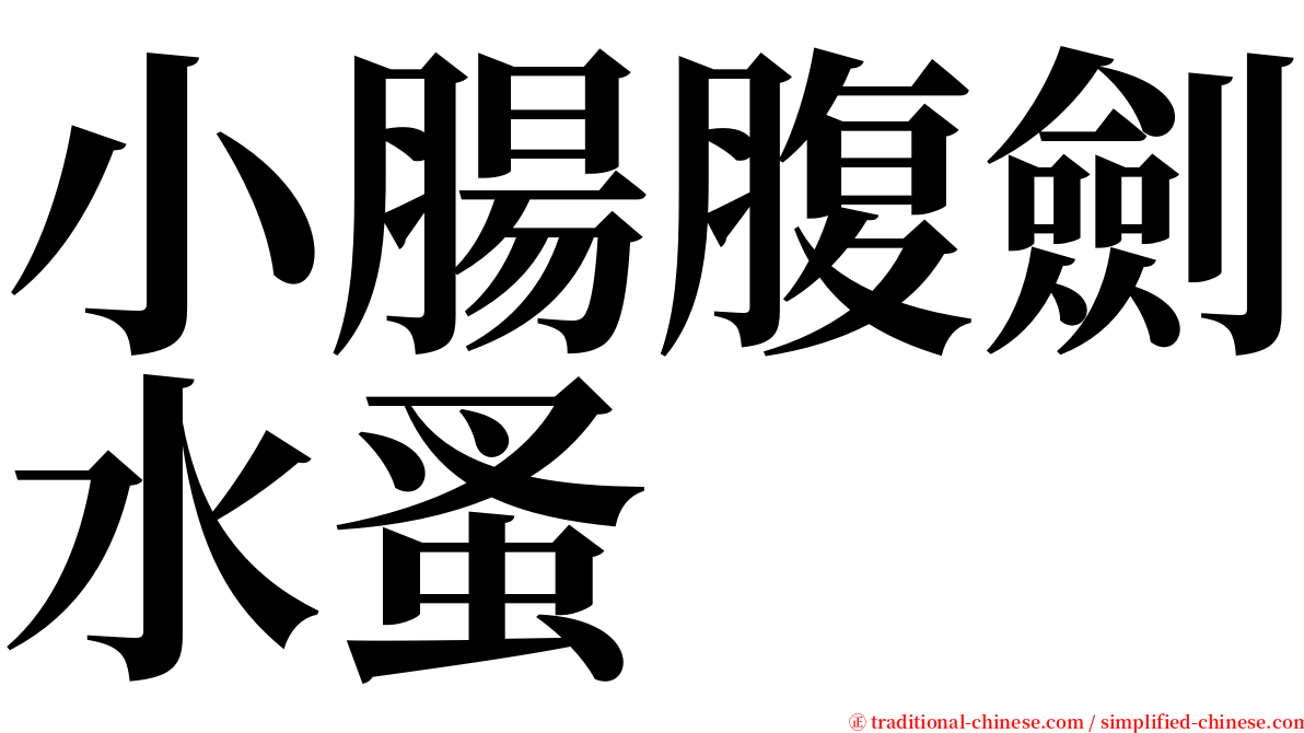 小腸腹劍水蚤 serif font