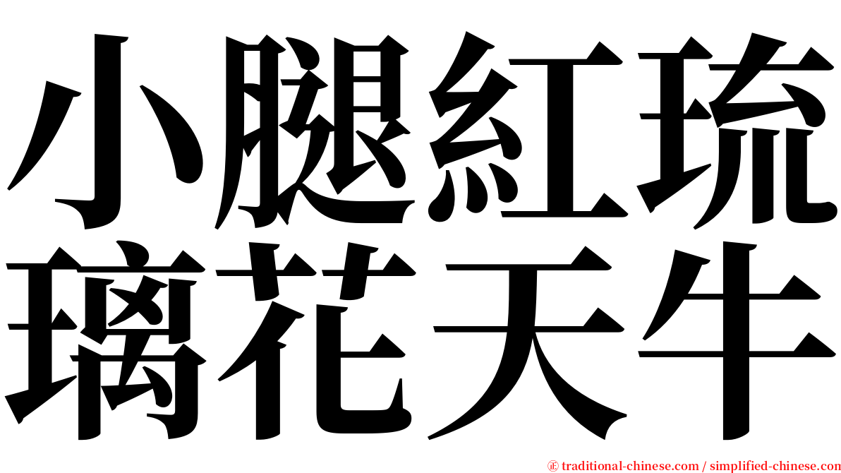 小腿紅琉璃花天牛 serif font