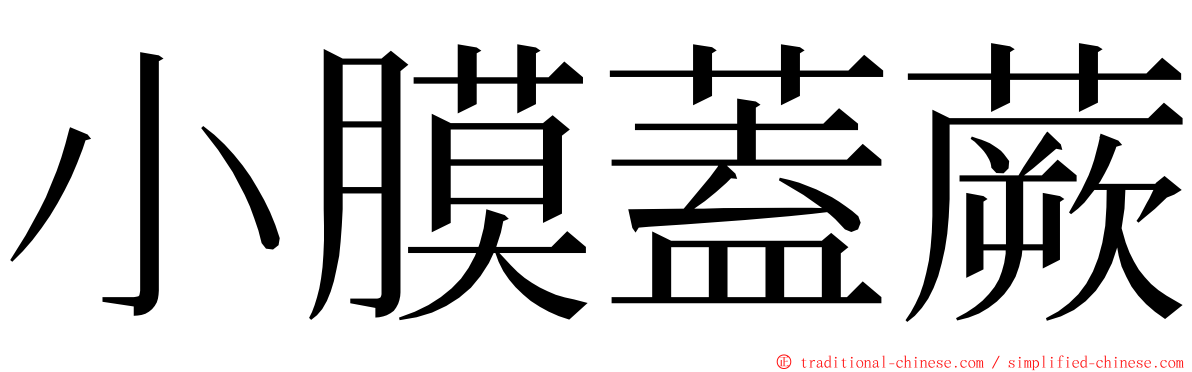 小膜蓋蕨 ming font