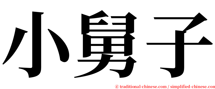 小舅子 serif font