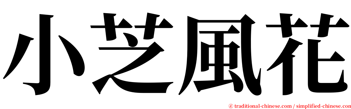 小芝風花 serif font