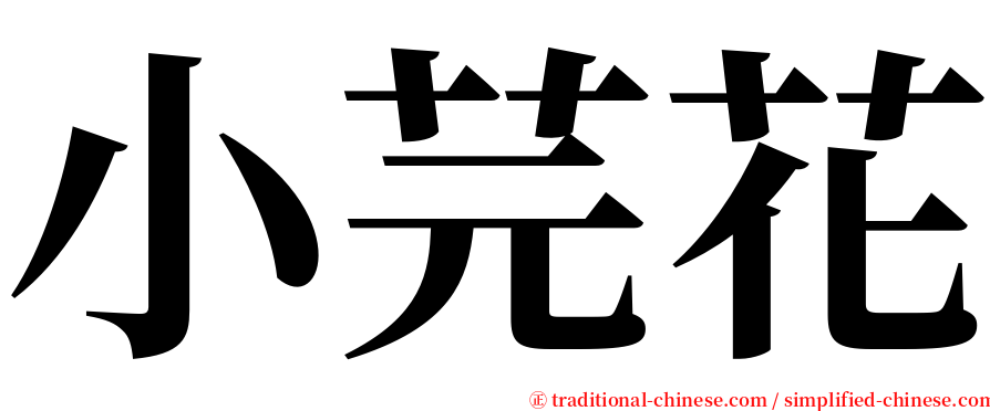 小芫花 serif font