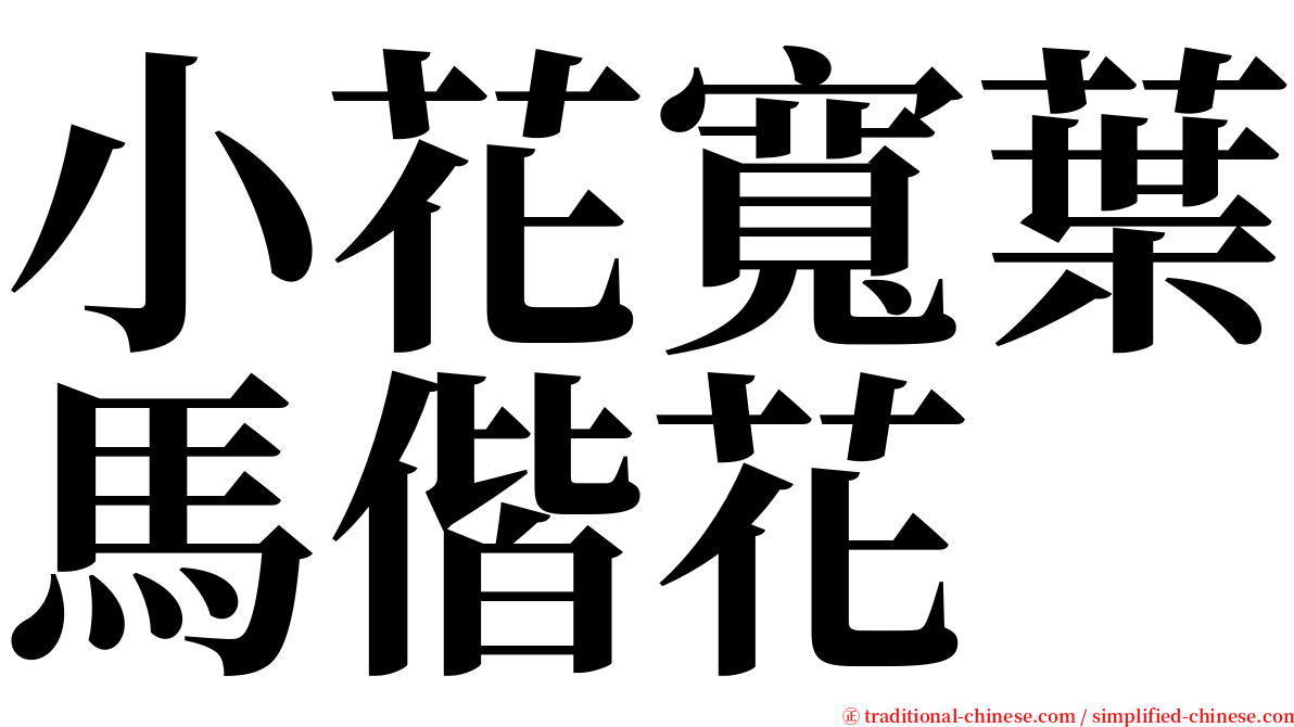 小花寬葉馬偕花 serif font