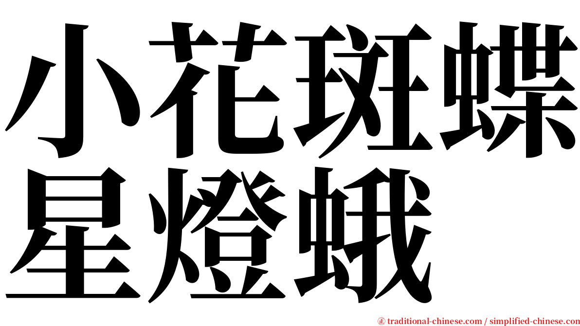 小花斑蝶星燈蛾 serif font