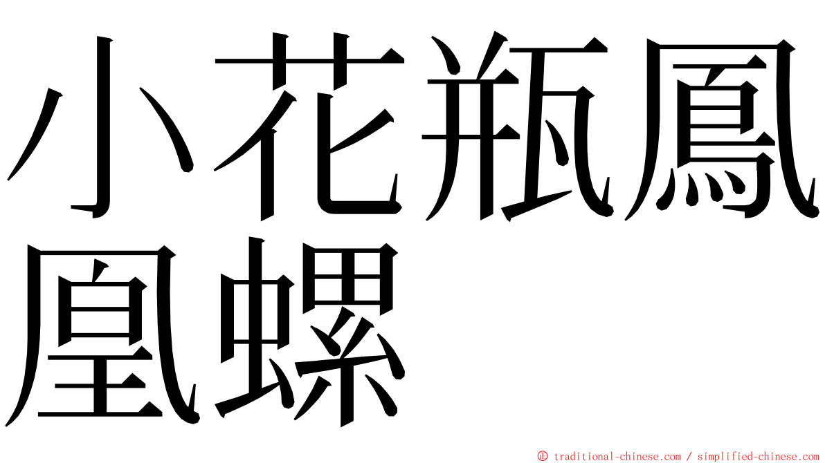 小花瓶鳳凰螺 ming font