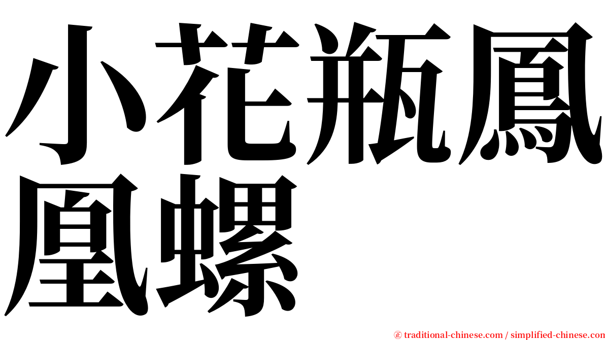 小花瓶鳳凰螺 serif font