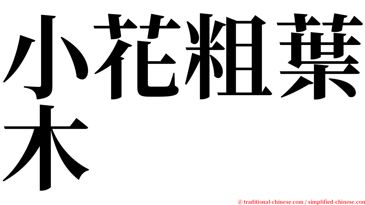 小花粗葉木 serif font