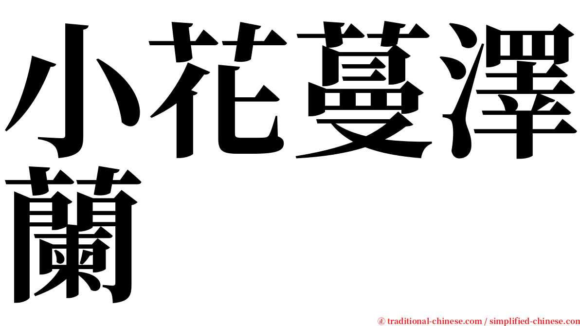 小花蔓澤蘭 serif font