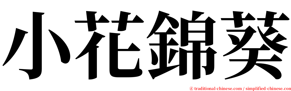 小花錦葵 serif font