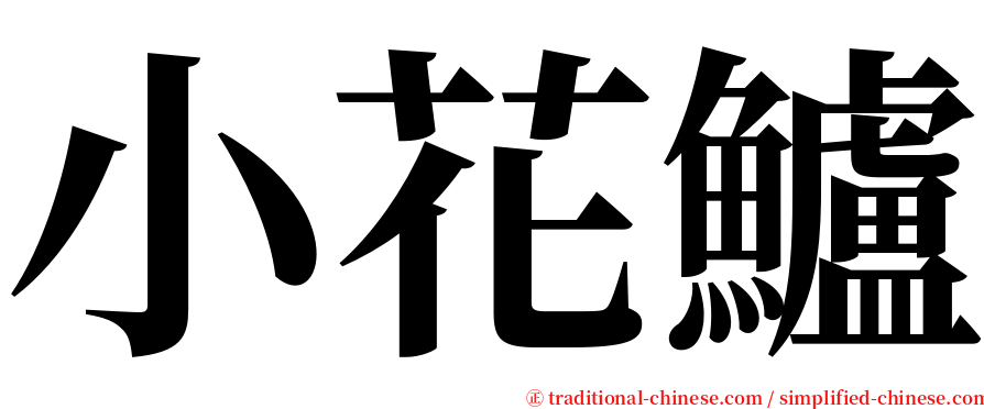 小花鱸 serif font