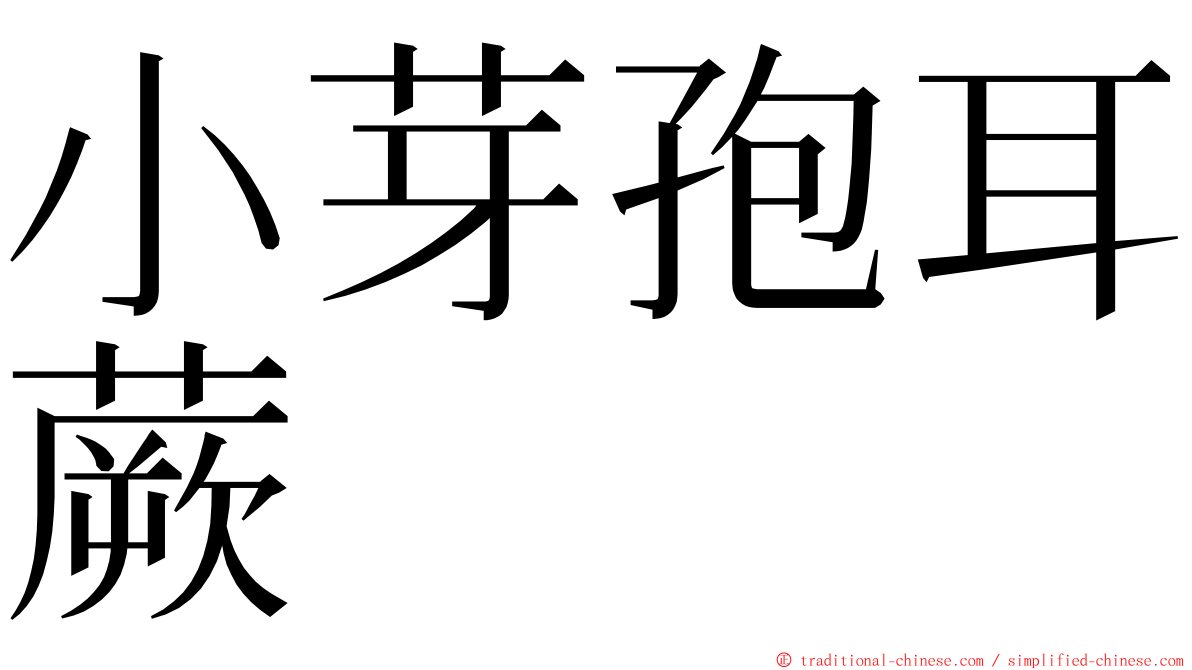 小芽孢耳蕨 ming font