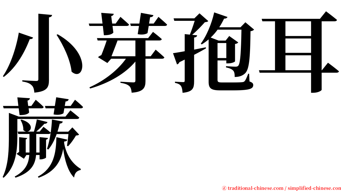 小芽孢耳蕨 serif font