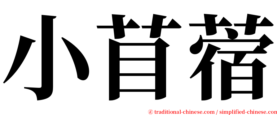 小苜蓿 serif font