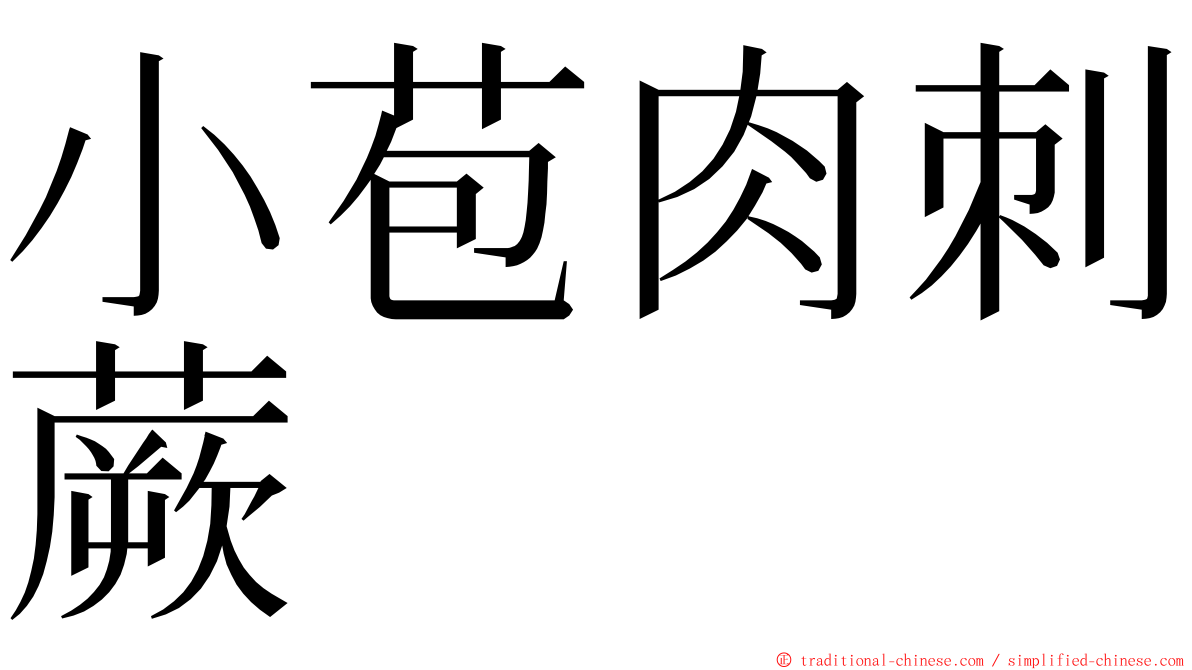 小苞肉刺蕨 ming font