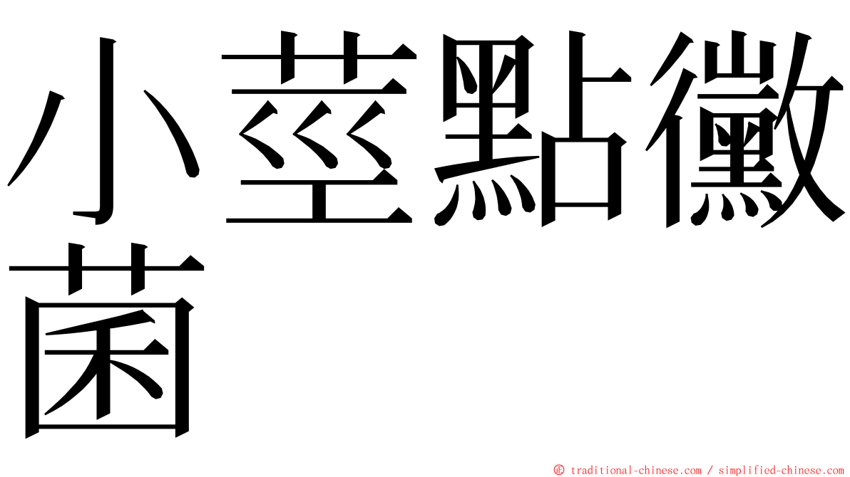 小莖點黴菌 ming font