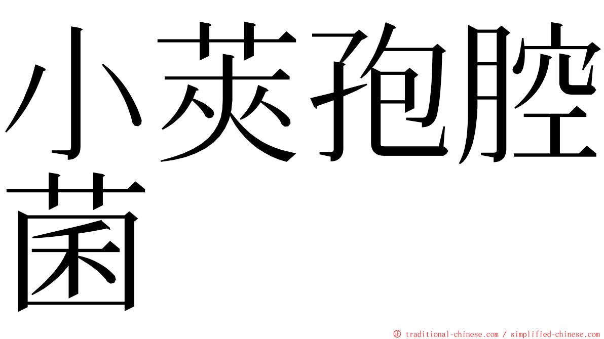 小莢孢腔菌 ming font