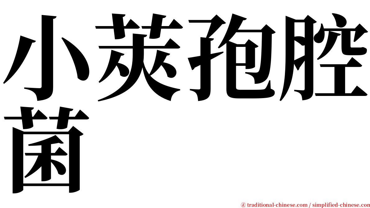 小莢孢腔菌 serif font