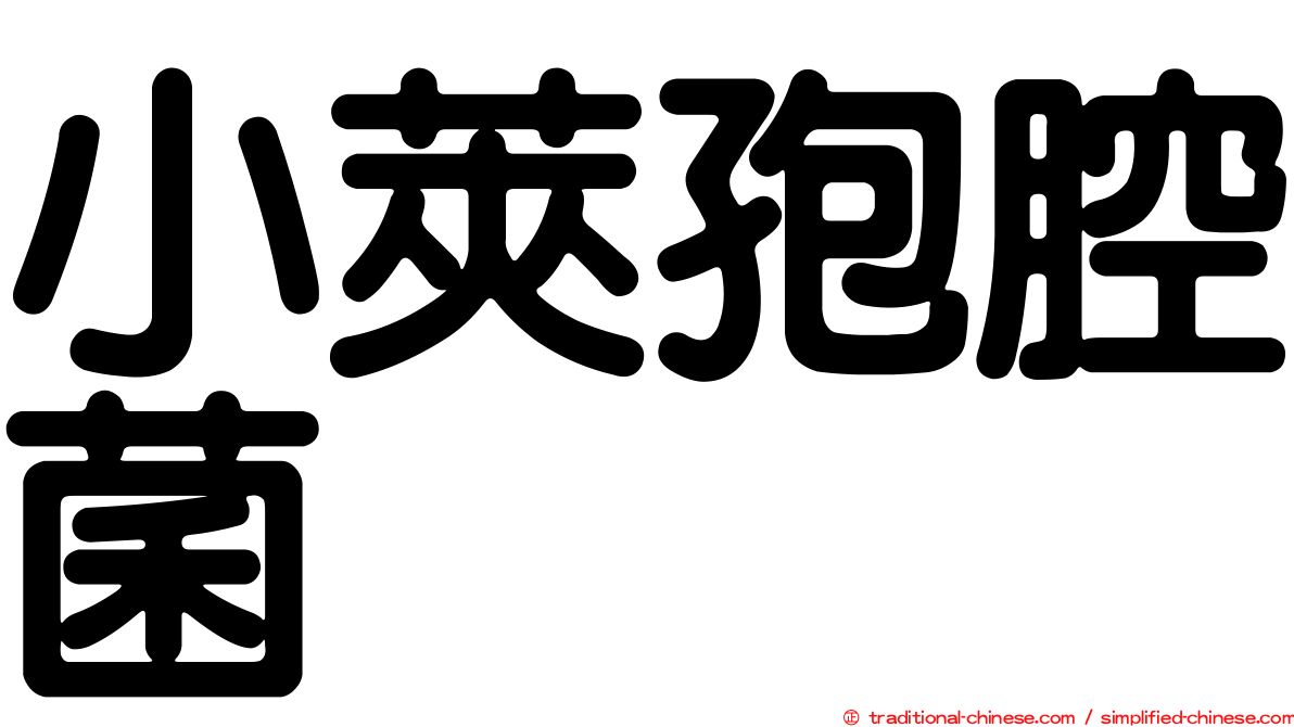 小莢孢腔菌