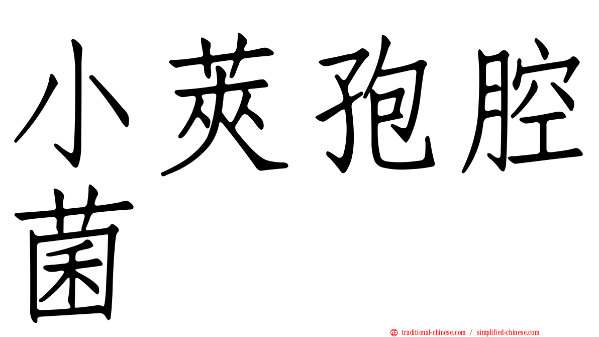 小莢孢腔菌