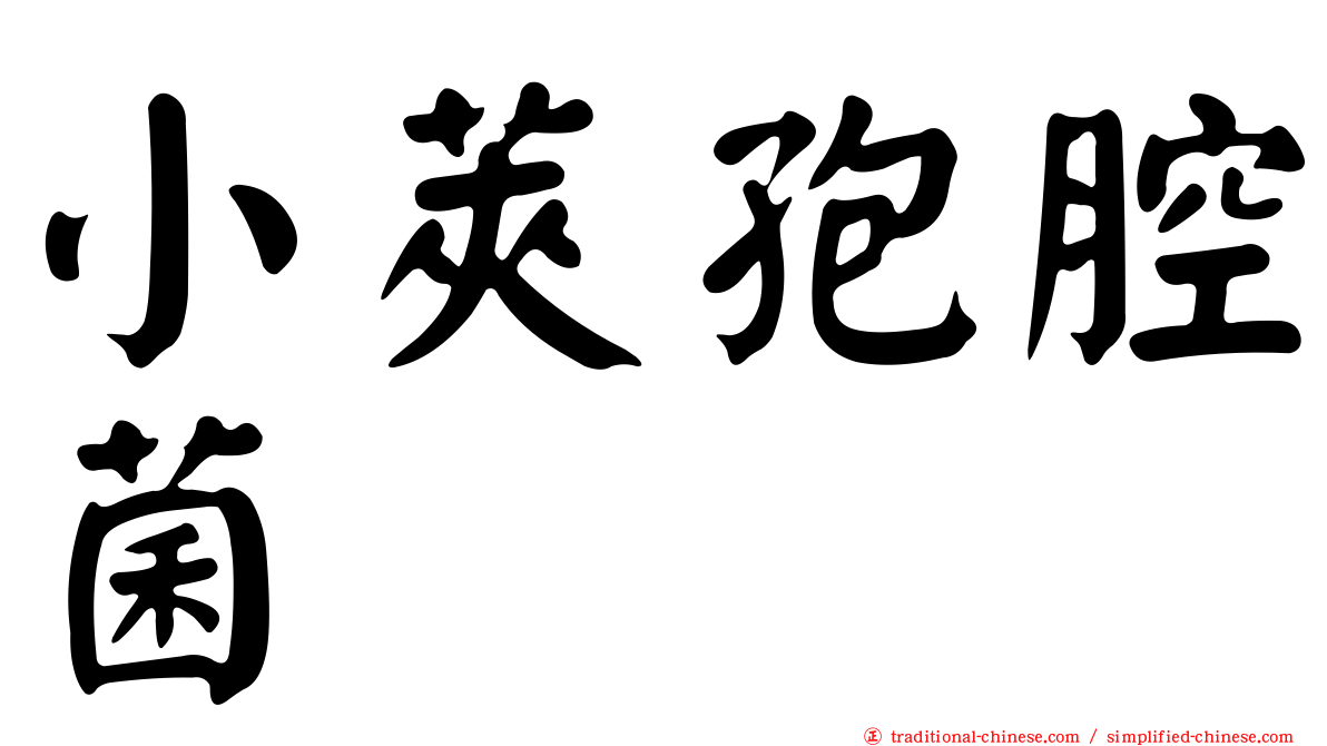 小莢孢腔菌