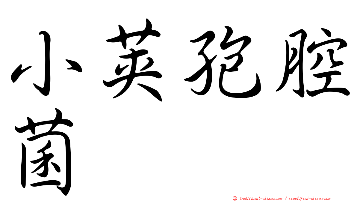小莢孢腔菌