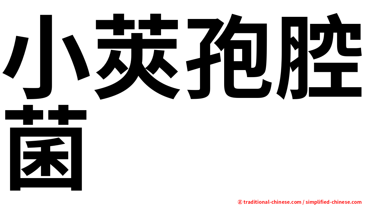 小莢孢腔菌