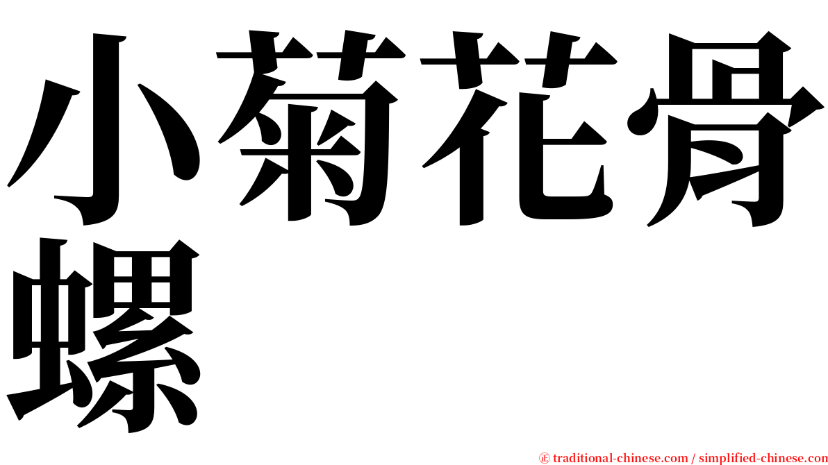 小菊花骨螺 serif font