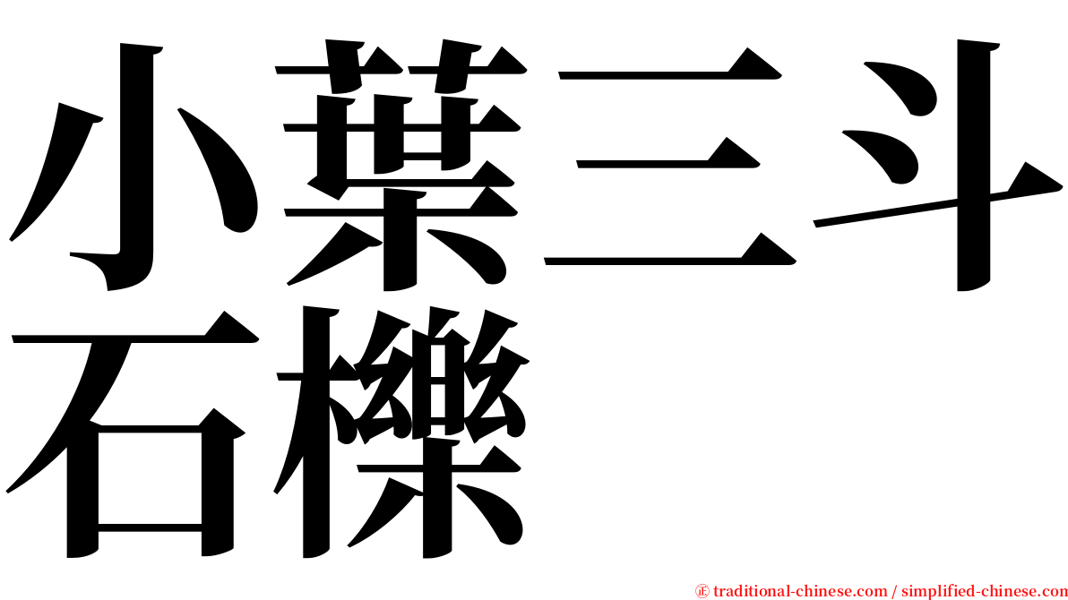 小葉三斗石櫟 serif font