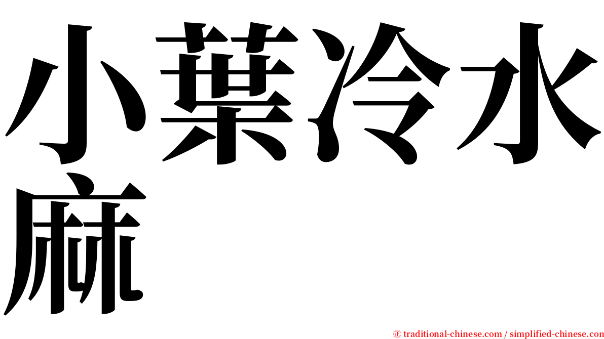 小葉冷水麻 serif font