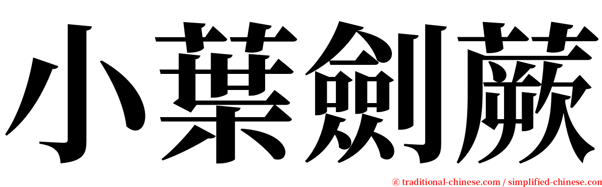 小葉劍蕨 serif font