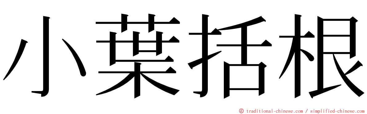 小葉括根 ming font