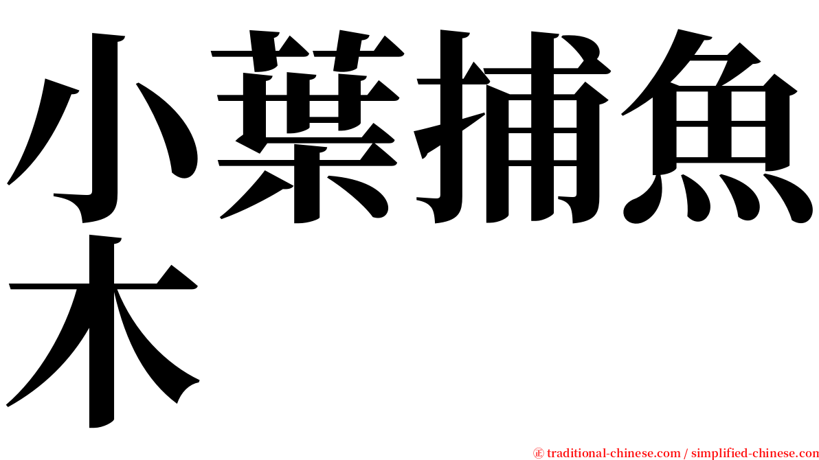 小葉捕魚木 serif font