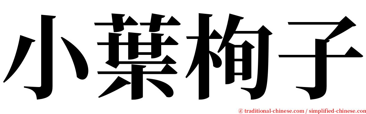 小葉栒子 serif font