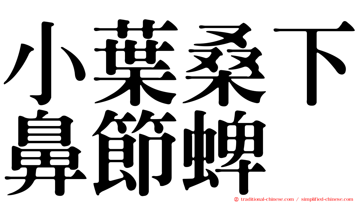 小葉桑下鼻節蜱
