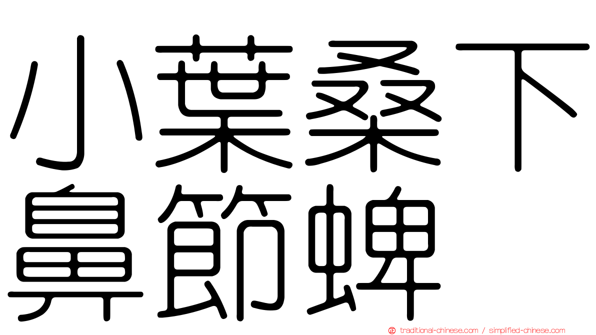 小葉桑下鼻節蜱