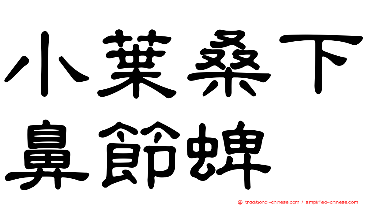 小葉桑下鼻節蜱